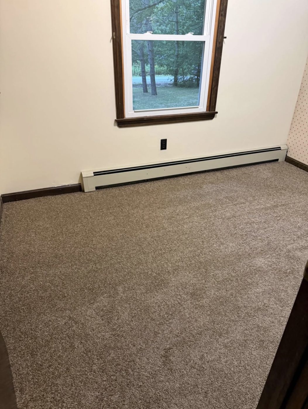 Second bedroom with new carpet