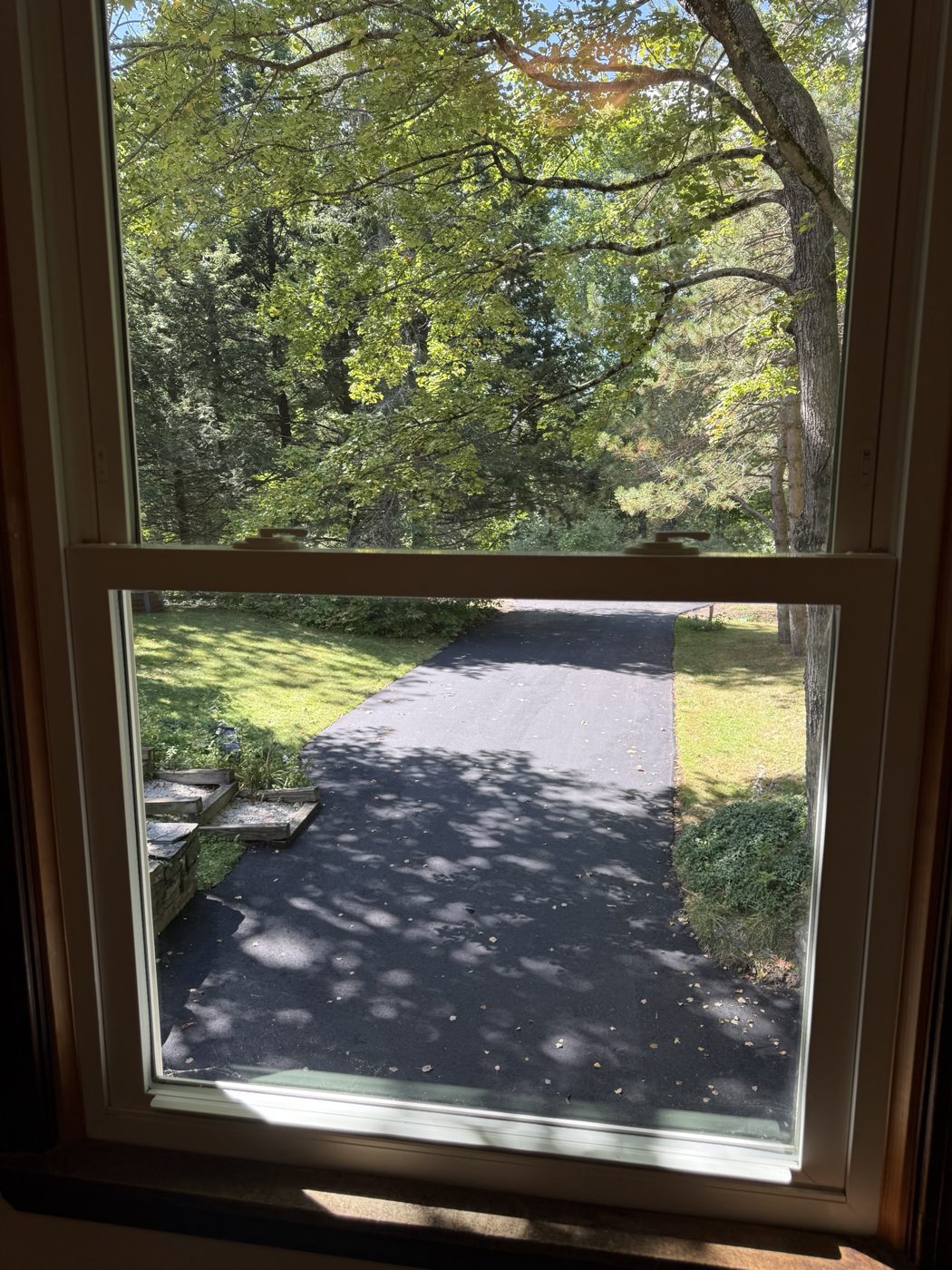 View from the window over the driveway and wooded yard